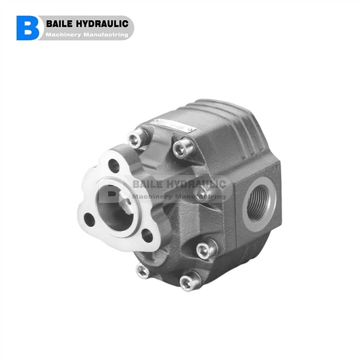 CASAPPA KAPPA Series Cast Iron Body Gear Pumps And Motors K.20-4 K.20*6,3K.20-8 K. 20*11,2 K.20-14 K.20-16 K. 20*20 K.20-25 K. 20-31,5 K.30-27 K.30-34 K.30-38 K.30-43 K.30-51 K.30*56 K.30*61 K.30*73