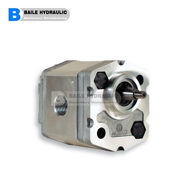 MARZOCCHI GEAR PUMP 1BK4 1BK7 SERIES 1BK4 D 1,6 1BK4 D 2 1BK4 D 2,5 1BK4 D 3,3 1BK4 D 4,2 1BK4 D 5 1BK4 D 5,8 1BK4 D 6,7 1BK4 D 7,5 1BK4 D 9,2 1BK4 D 11,5 1BK7 D 1,6 1BK7 D 2 1BK7 D 2,5 1BK7 D 3,3 1BK7 D 4,2 1BK7 D 5 1BK7 D 5,8 1BK7 D 6,7 1BK7 D 7,5 1BK7 D 9,2 1BK7 D 11,5